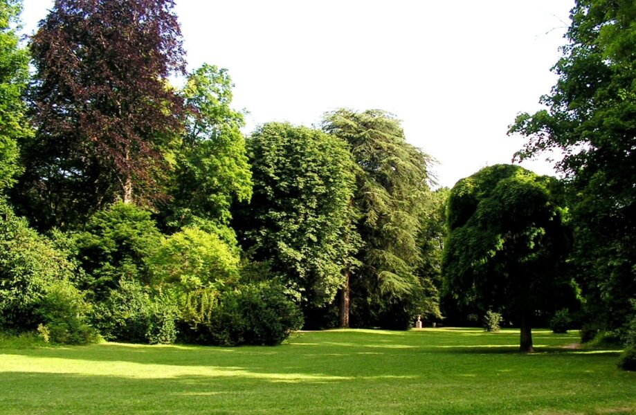 Parc Magnin à Brazey-en-Plaine